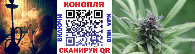 Виды наркотиков купить Пошехонье Псилоцибиновые грибы КОКАИН Меф мяу мяу Гашиш