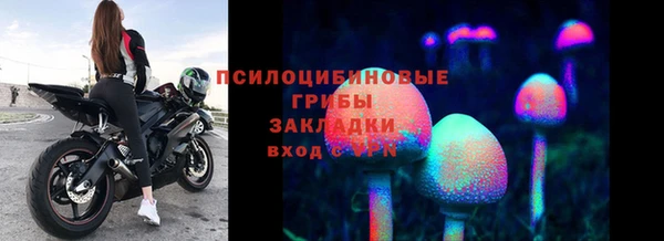 героин Михайлов