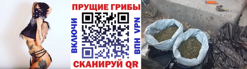 Псилоцибиновые грибы мухоморы  Пошехонье 